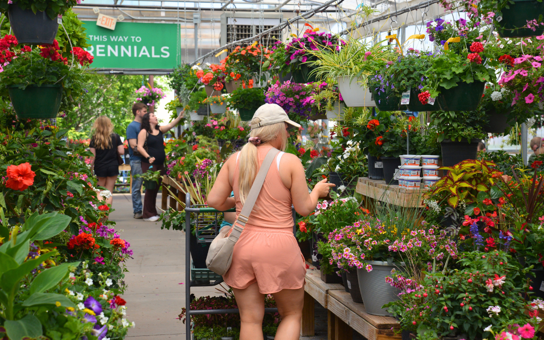 Blue Springs Garden Center Serving Kansas City | Colonial Farms